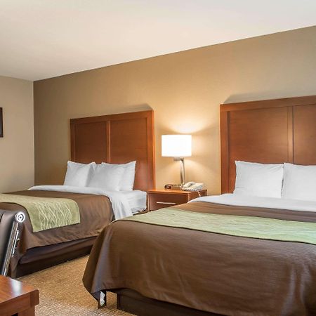 Comfort Inn Edinburg South Zewnętrze zdjęcie