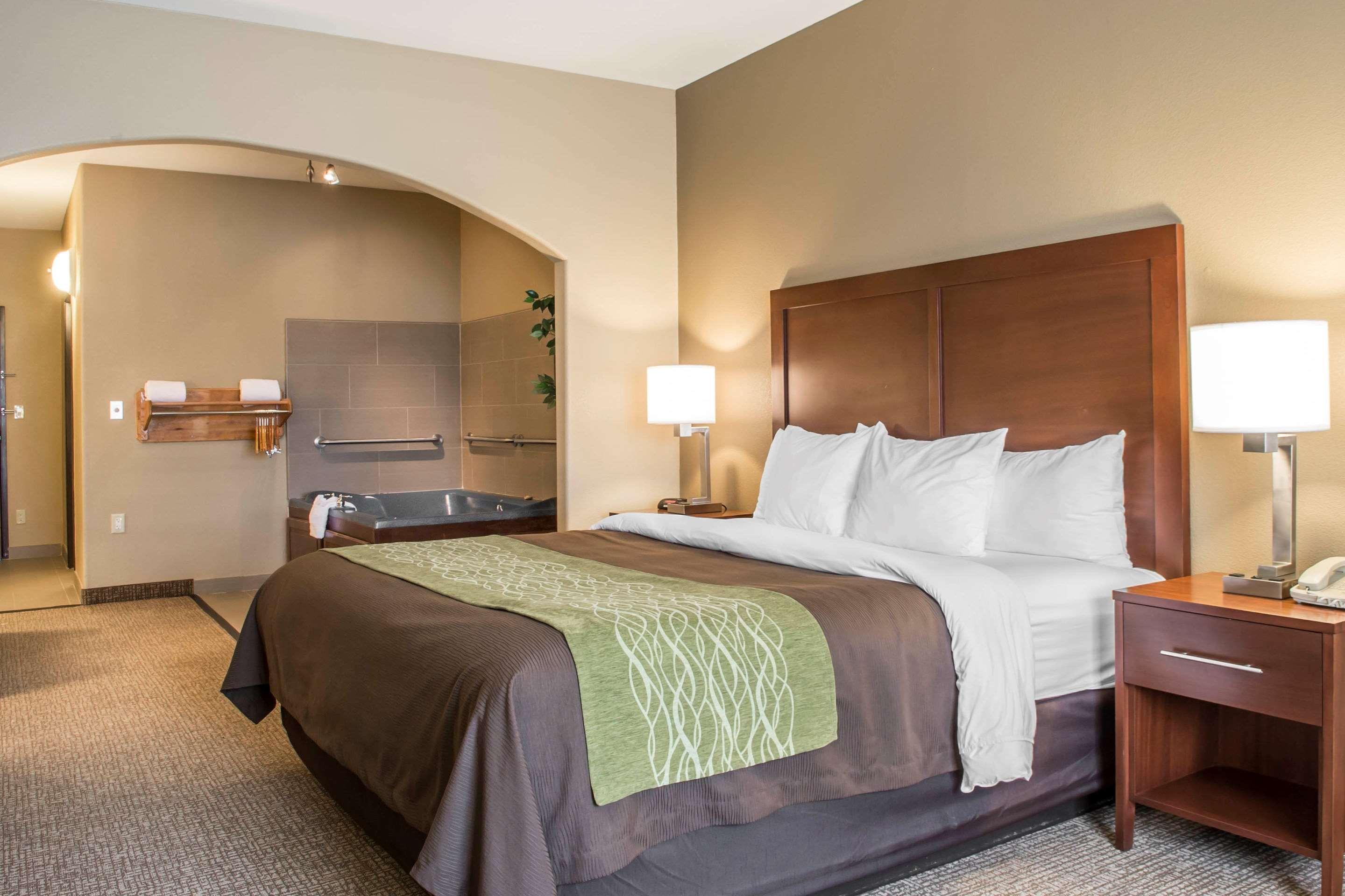 Comfort Inn Edinburg South Zewnętrze zdjęcie